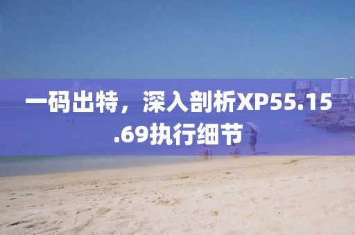 一碼出特，深入剖析XP55.15.69執(zhí)行細(xì)節(jié)