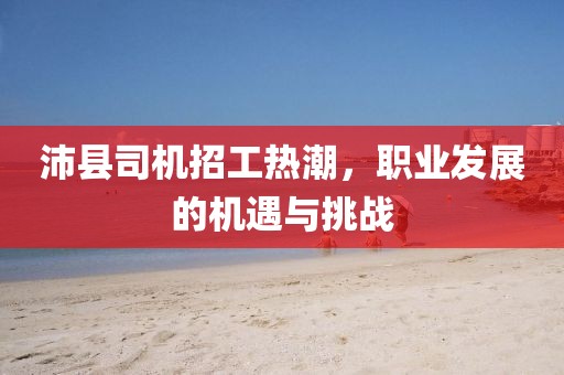 沛縣司機招工熱潮，職業(yè)發(fā)展的機遇與挑戰(zhàn)