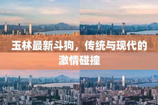 玉林最新斗狗，傳統(tǒng)與現(xiàn)代的激情碰撞