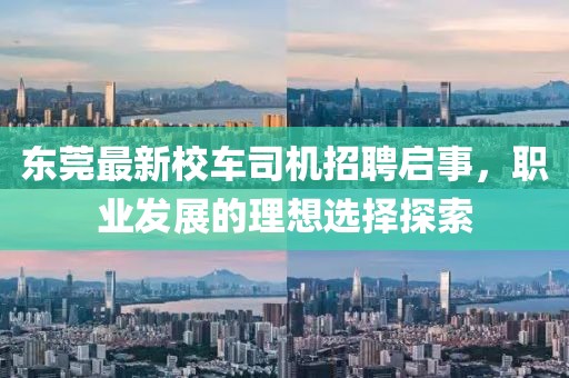 東莞最新校車司機招聘啟事，職業(yè)發(fā)展的理想選擇探索