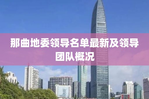 那曲地委領(lǐng)導(dǎo)名單最新及領(lǐng)導(dǎo)團(tuán)隊(duì)概況