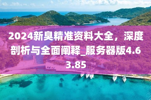 2024新臭精準(zhǔn)資料大全，深度剖析與全面闡釋_服務(wù)器版4.63.85