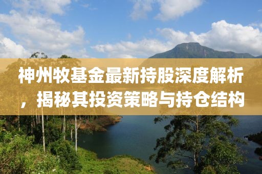 神州牧基金最新持股深度解析，揭秘其投資策略與持倉結構