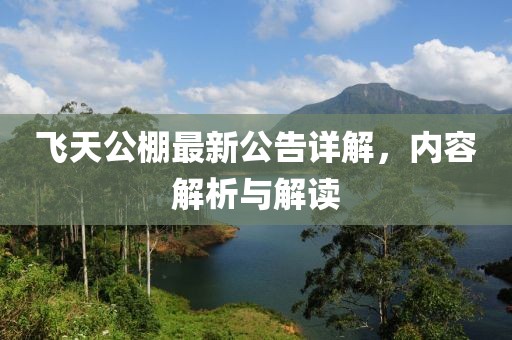 飛天公棚最新公告詳解，內(nèi)容解析與解讀