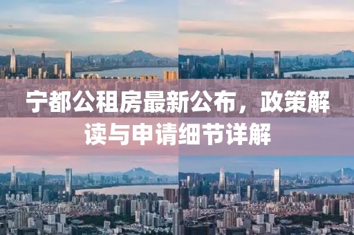寧都公租房最新公布，政策解讀與申請(qǐng)細(xì)節(jié)詳解