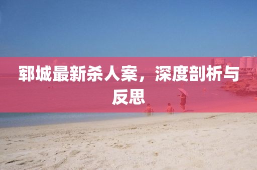 鄆城最新殺人案，深度剖析與反思