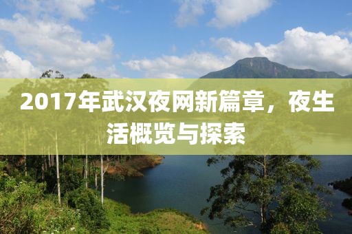 2017年武漢夜網(wǎng)新篇章，夜生活概覽與探索
