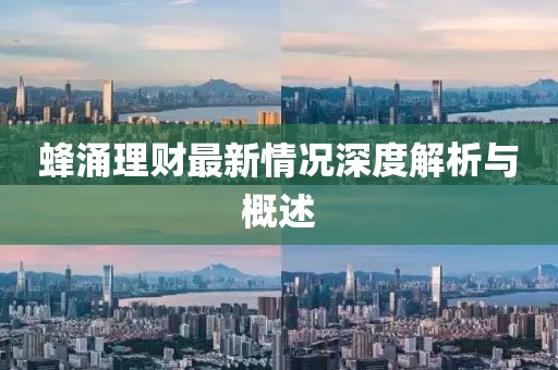 蜂涌理財最新情況深度解析與概述