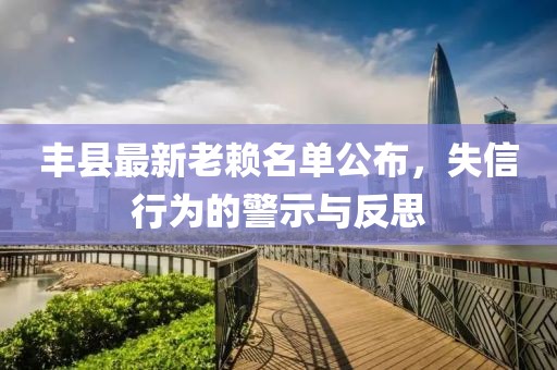 豐縣最新老賴名單公布，失信行為的警示與反思