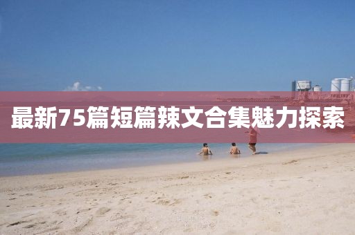 最新75篇短篇辣文合集魅力探索