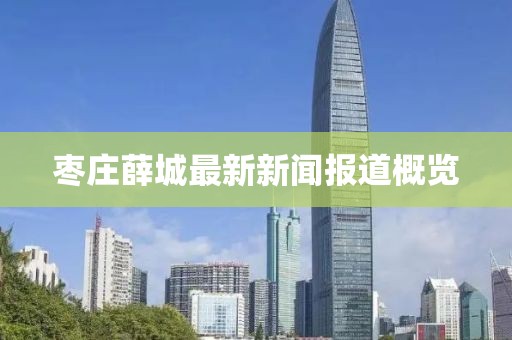 棗莊薛城最新新聞報(bào)道概覽