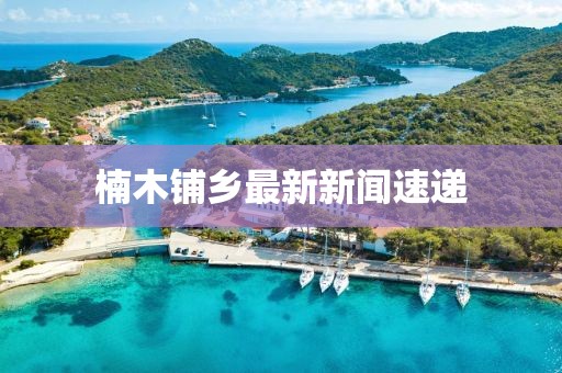 楠木鋪鄉(xiāng)最新新聞速遞
