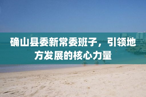 確山縣委新常委班子，引領(lǐng)地方發(fā)展的核心力量