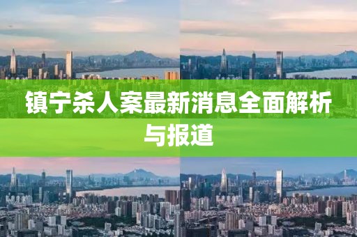 鎮(zhèn)寧殺人案最新消息全面解析與報(bào)道
