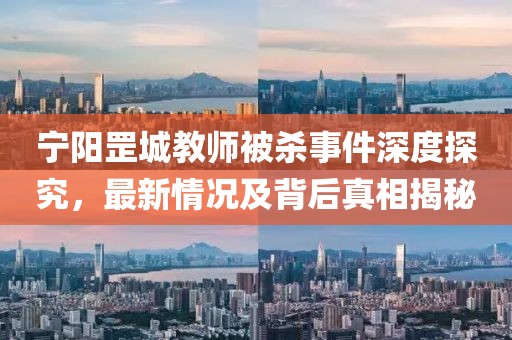 寧陽罡城教師被殺事件深度探究，最新情況及背后真相揭秘