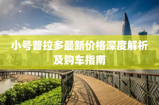 小號普拉多最新價格深度解析及購車指南