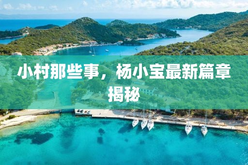 小村那些事，楊小寶最新篇章揭秘