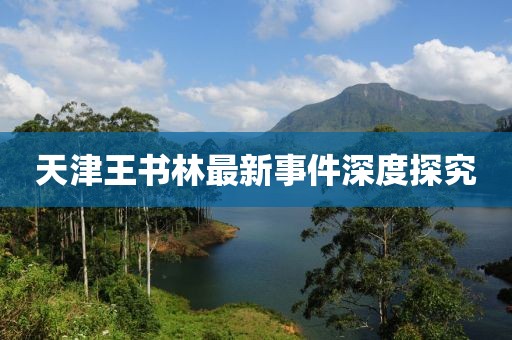 天津王書林最新事件深度探究