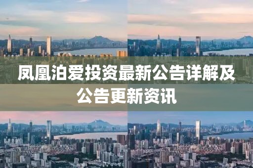 鳳凰泊愛投資最新公告詳解及公告更新資訊
