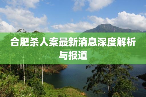合肥殺人案最新消息深度解析與報(bào)道