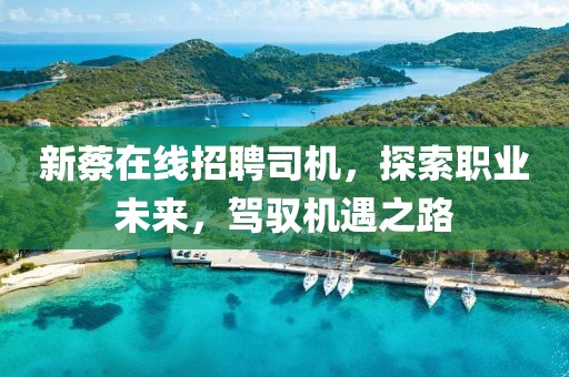 新蔡在線招聘司機，探索職業(yè)未來，駕馭機遇之路