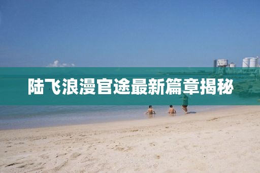 陸飛浪漫官途最新篇章揭秘