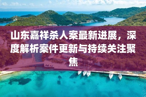 山東嘉祥殺人案最新進(jìn)展，深度解析案件更新與持續(xù)關(guān)注聚焦