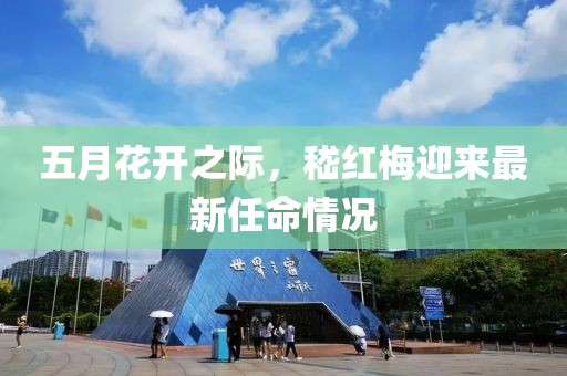 五月花開之際，嵇紅梅迎來最新任命情況