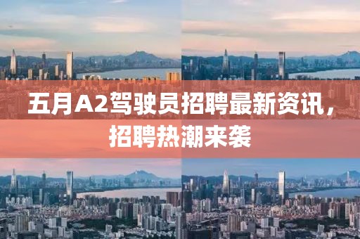 五月A2駕駛員招聘最新資訊，招聘熱潮來(lái)襲