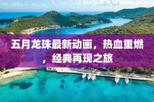 五月龍珠最新動畫，熱血重燃，經(jīng)典再現(xiàn)之旅