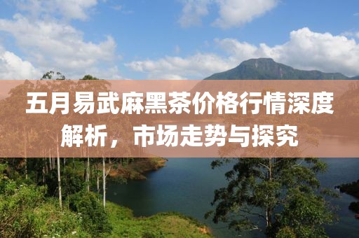 五月易武麻黑茶價(jià)格行情深度解析，市場(chǎng)走勢(shì)與探究