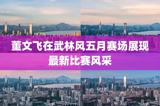 董文飛在武林風五月賽場展現(xiàn)最新比賽風采