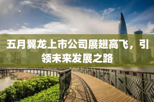 五月翼龍上市公司展翅高飛，引領(lǐng)未來發(fā)展之路