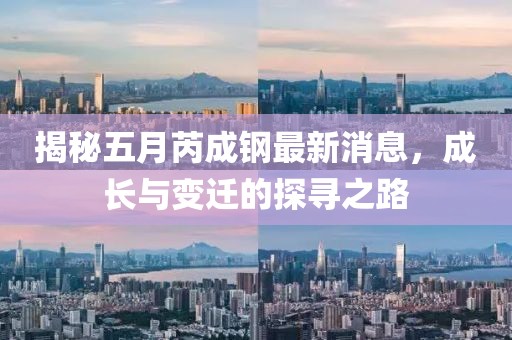揭秘五月芮成鋼最新消息，成長(zhǎng)與變遷的探尋之路