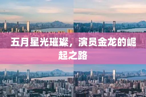五月星光璀璨，演員金龍的崛起之路