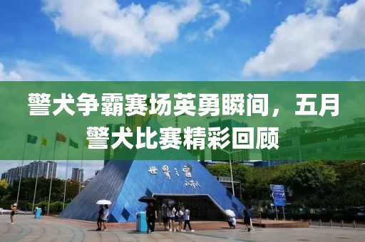 警犬爭(zhēng)霸賽場(chǎng)英勇瞬間，五月警犬比賽精彩回顧