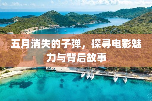 五月消失的子彈，探尋電影魅力與背后故事