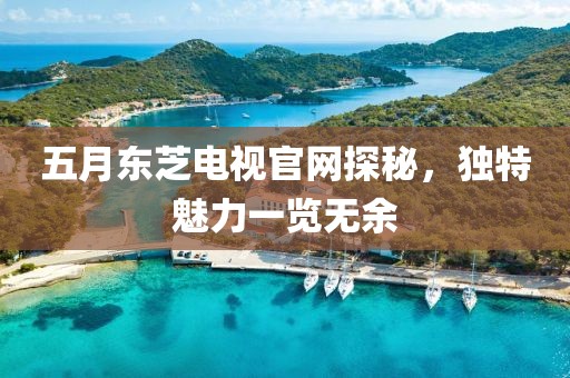 五月東芝電視官網(wǎng)探秘，獨特魅力一覽無余