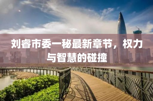 劉睿市委一秘最新章節(jié)，權(quán)力與智慧的碰撞