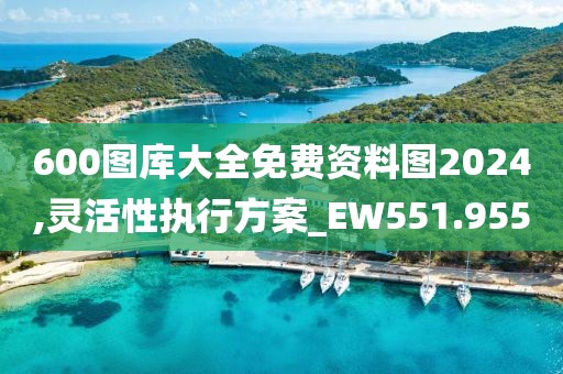 600圖庫(kù)大全免費(fèi)資料圖2024,靈活性執(zhí)行方案_EW551.955
