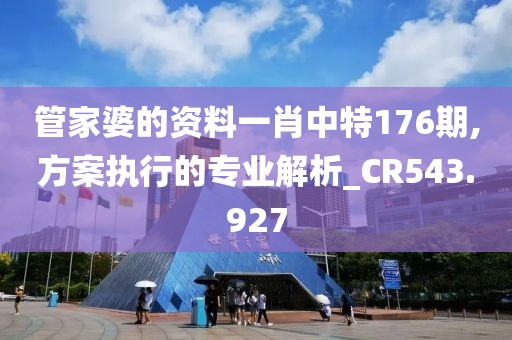 管家婆的資料一肖中特176期,方案執(zhí)行的專業(yè)解析_CR543.927