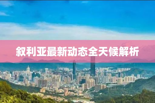 敘利亞最新動(dòng)態(tài)全天候解析