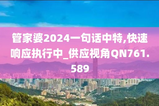 管家婆2024一句話中特,快速響應(yīng)執(zhí)行中_供應(yīng)視角QN761.589
