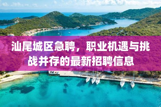 汕尾城區(qū)急聘，職業(yè)機(jī)遇與挑戰(zhàn)并存的最新招聘信息